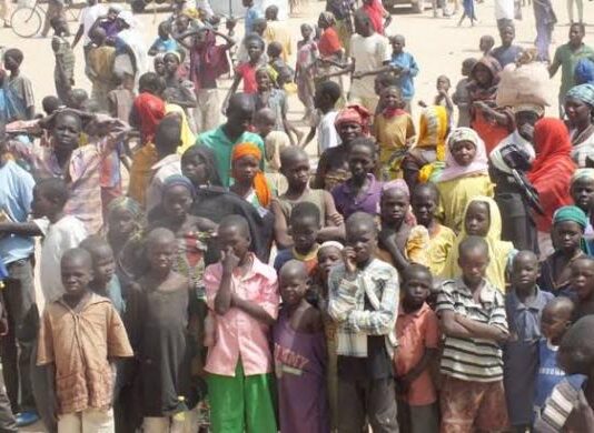Update: Nine out of 102 Missing IDP Women Return, No Ransom Paid, Says Borno State Emergency Agency