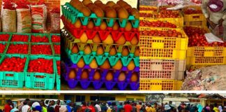 Breaking: Massive Turnout as Discounted Food Markets ‘Ounje Eko’ Begin Sales in Lagos