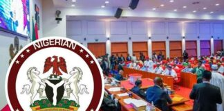 Senate to Meet President Tinubu Over Rising Insecurity