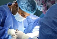 Revolutionary Medical Breakthrough: Pig Kidney Transplanted Successfully Into Human