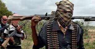 Suspected Herdsmen Kill Five Farmers in Benue State Attack, Representative Urges Swift Action