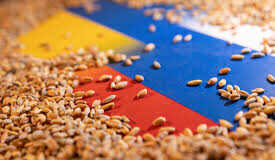 War-Torn Ukraine Donates 25,000 Tons of Food to Tackle Food Crisis in North-East Nigeria