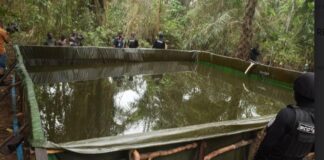 Massive Illegal Oil Refining Site Uncovered in Rivers State, 5 Suspects Arrested