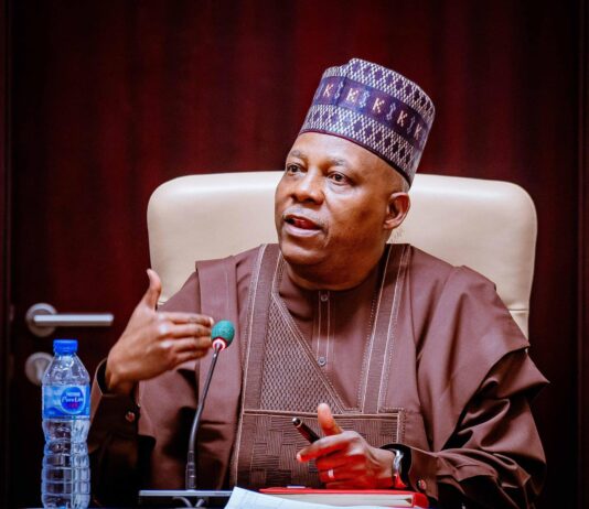 VP Shettima Affirms Tinubu Administration’s Resolve to Uplift Nigerians’ Welfare, Harness Population Potential
