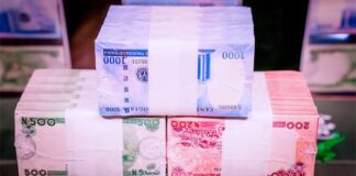 BDC Operators: Naira’s Appreciation Exceeds Expectations