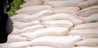 Yobe State Governor Launches Distribution of Assorted Food Items to 126,000 Vulnerable Households