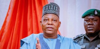 Regional Bodies, Integration Key to Deepening Democracy in Africa – President Tinubu