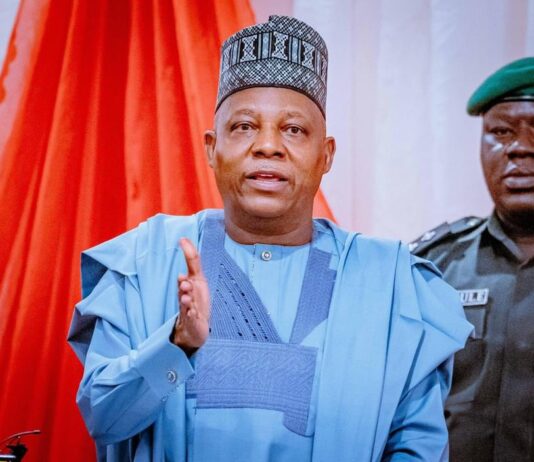 Regional Bodies, Integration Key to Deepening Democracy in Africa – President Tinubu