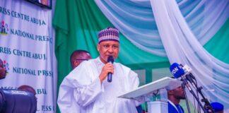 One Year of the Tinubu Administration: Building a Safer, Stronger, and Prosperous Nigeria – Minister Idris