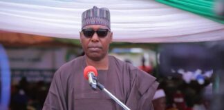 Zulum urges citizens to shun protest, says govt working to ease hardships