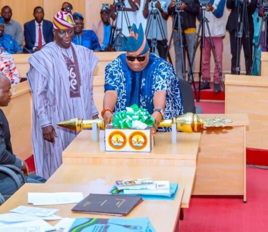 Budget Presentation: Our Government Delivers on Critical Sectors – Governor Adeleke