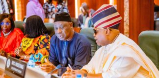 Governor Adeleke Represents South West on Ad Hoc Committee on National Electrification Plan