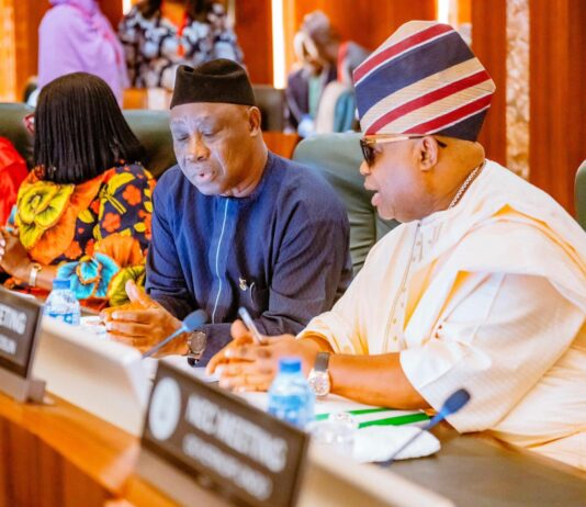 Governor Adeleke Represents South West on Ad Hoc Committee on National Electrification Plan