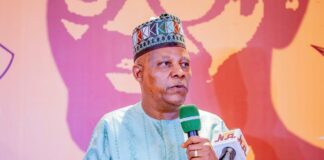 You Can Speak Truth To Power Without Necessarily Antagonising Government – VP Shettima