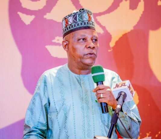 APC UK Celebrates Vice President Kashim Shettima at 60