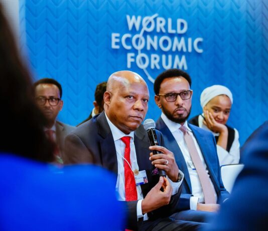 2025 WEF: VP Shettima Markets Nigeria, Africa As Investment Destination