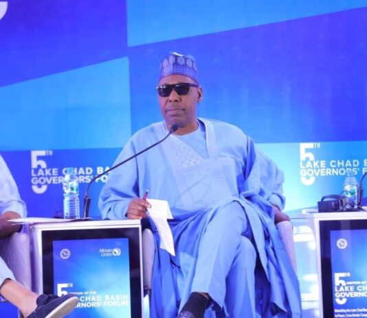 Zulum Calls for Large-Scale Irrigation Farms to Combat Food Insecurity in Lake Chad Region