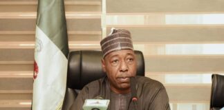 Zulum pledges support for successful 2025 Hajj exercise