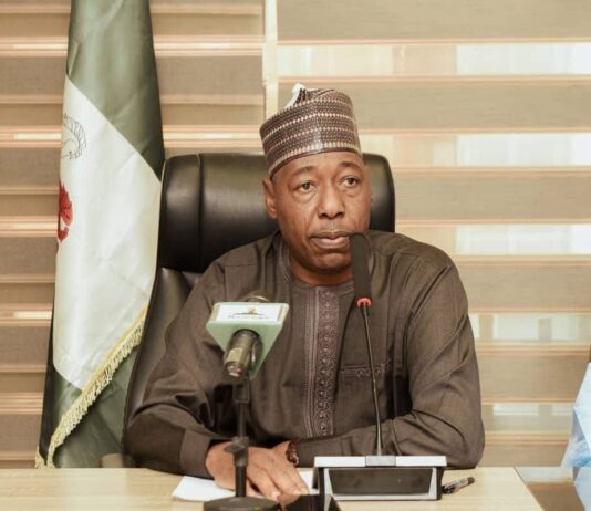 Zulum pledges support for successful 2025 Hajj exercise