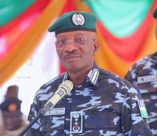 IGP launches Zulum’s distribution of 110 vehicles, 280 houses to police, others