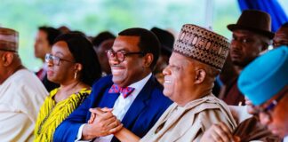 AfDB Reaffirms $2.2 Billion Pledge As VP Shettima Commissions 2nd SAPZ In Cross River