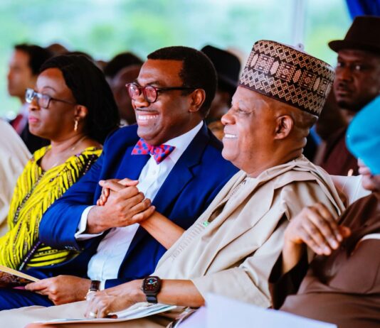 AfDB Reaffirms $2.2 Billion Pledge As VP Shettima Commissions 2nd SAPZ In Cross River