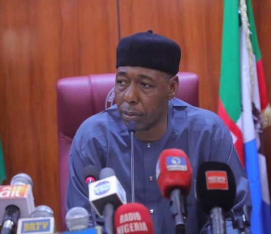 Zulum goes tough, Inaugurates committee to curb the menace of anti-social vices