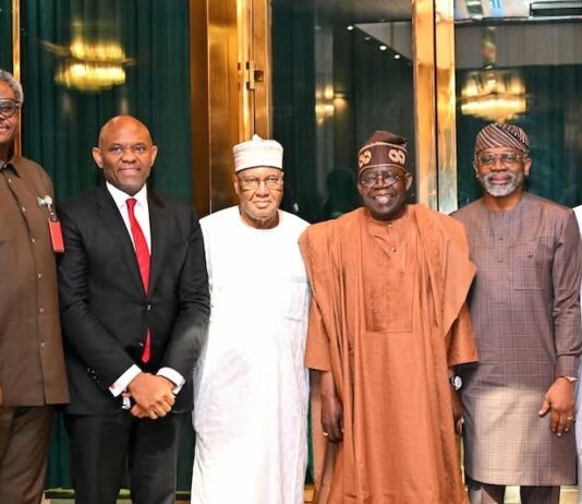 President Tinubu Meets Chairmen Of GENCOS, Pledges To Resolve Longstanding Debt Claims