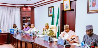 President Tinubu Orders Immediate Ban Of Raw Shea Nut Export