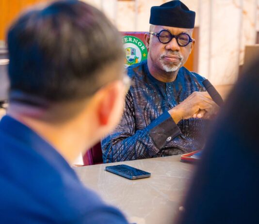 Chinese firm set to establish power generation plant, industrial park in Ogun