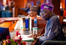 President Tinubu constitutes the boards of NADF, Bank of Agriculture and UBEC