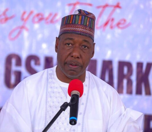 Zulum disburses N1bn, trains 1,050 youths on GSM repairs
