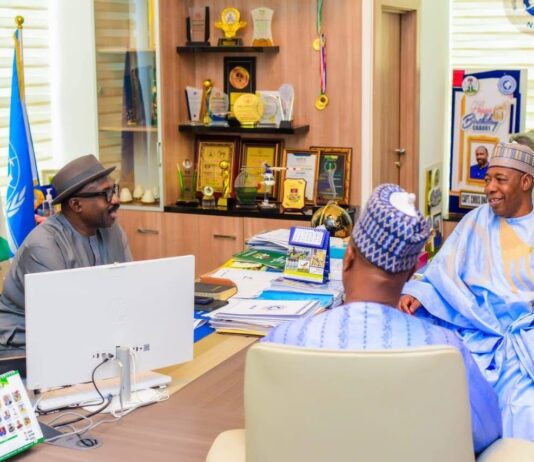 Zulum seeks International license for Buhari Airport, Regional NCAA Base in Maiduguri