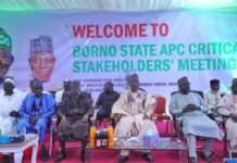 Borno APC Endorses Tinubu, Shettima for 2027