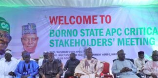 Borno APC Endorses Tinubu, Shettima for 2027