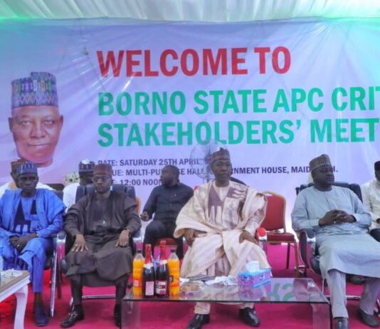 Borno APC Endorses Tinubu, Shettima for 2027