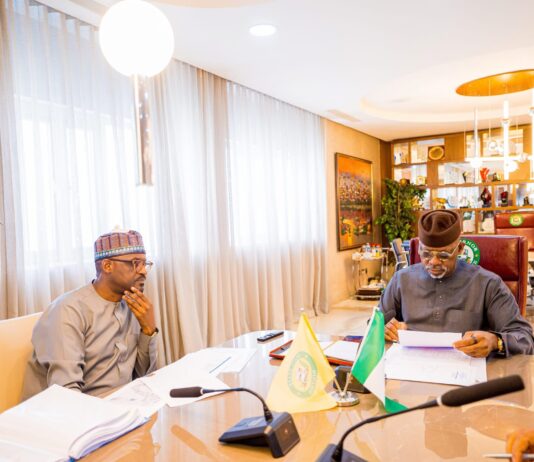 Ogun Attracts $250m Dairy Investment as Firm Plans Mega Farm in Ogun West