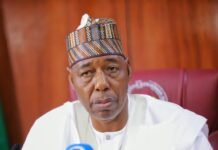 FG, Borno working to rescue 44 abducted Mussa school children
