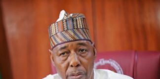 FG, Borno working to rescue 44 abducted Mussa school children