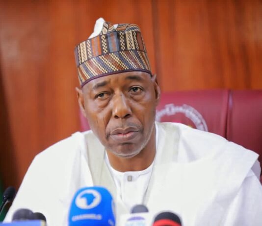 FG, Borno working to rescue 44 abducted Mussa school children