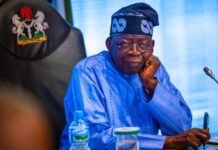 President Tinubu Approves Comprehensive Forensic Audit Of IPPIS, Federal Agencies, Ministries