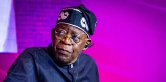 President Tinubu Moves Digital Free Zones Initiative to Implementation, Targets More Global Jobs and Investment for Nigerians